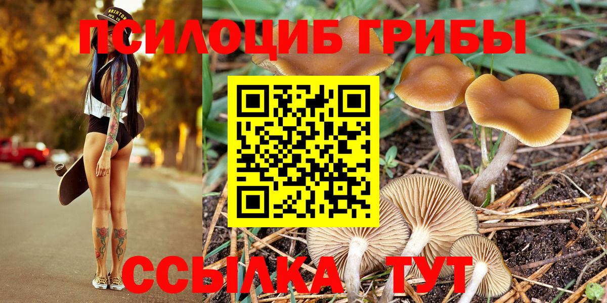 Иркутск  Псилоцибиновые грибы MAGIC MUSHROOMS  магазин  наркотиков  Вход с VPN 